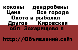 коконы    дендробены › Цена ­ 25 - Все города Охота и рыбалка » Другое   . Кировская обл.,Захарищево п.